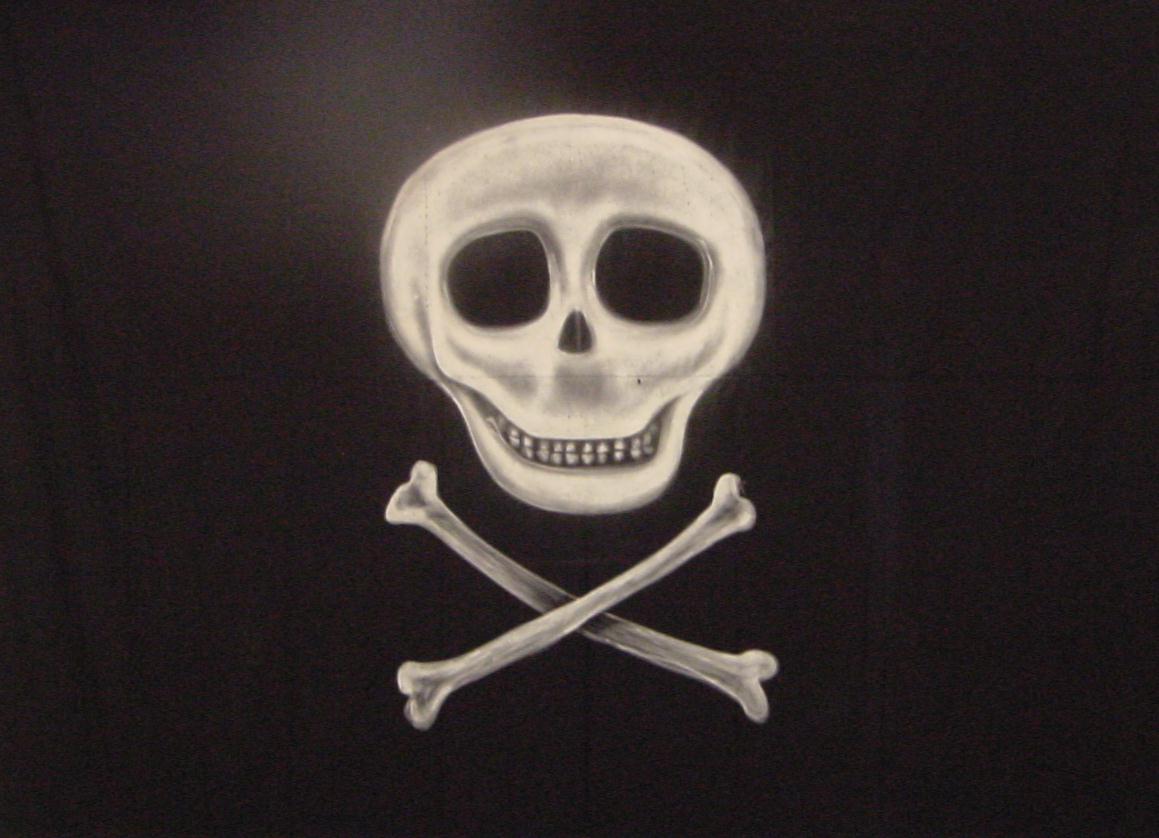 Peter Pan Pirate Flag-image